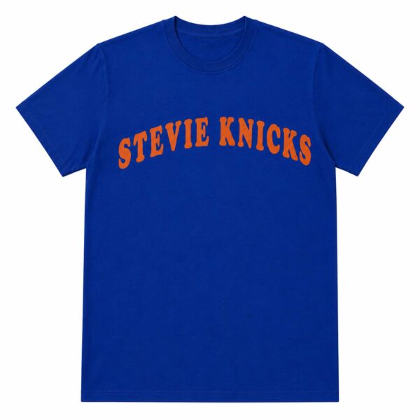 Taylor Swift Stevie Knicks Shirt