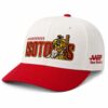 Albuquerque Isotopes Orbit's Birthday Hat