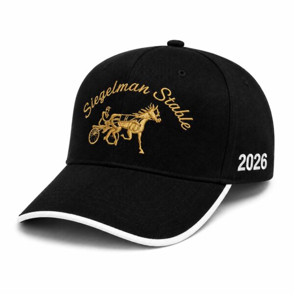 Knicks Siegelman Stable Champions Parade Hat