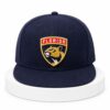 Panthers Adjustable Hat
