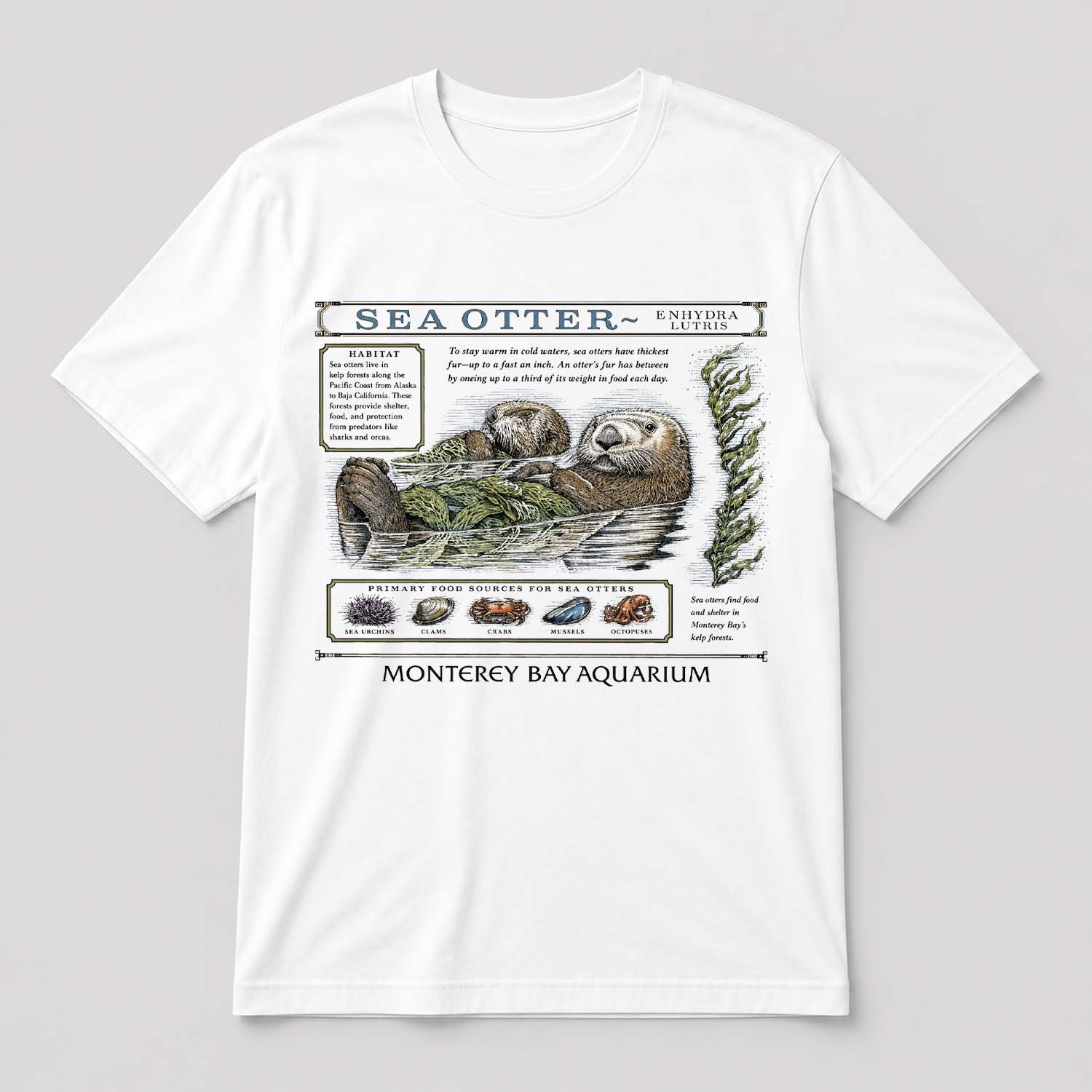 Taylor Swift Sea Otter Shirt