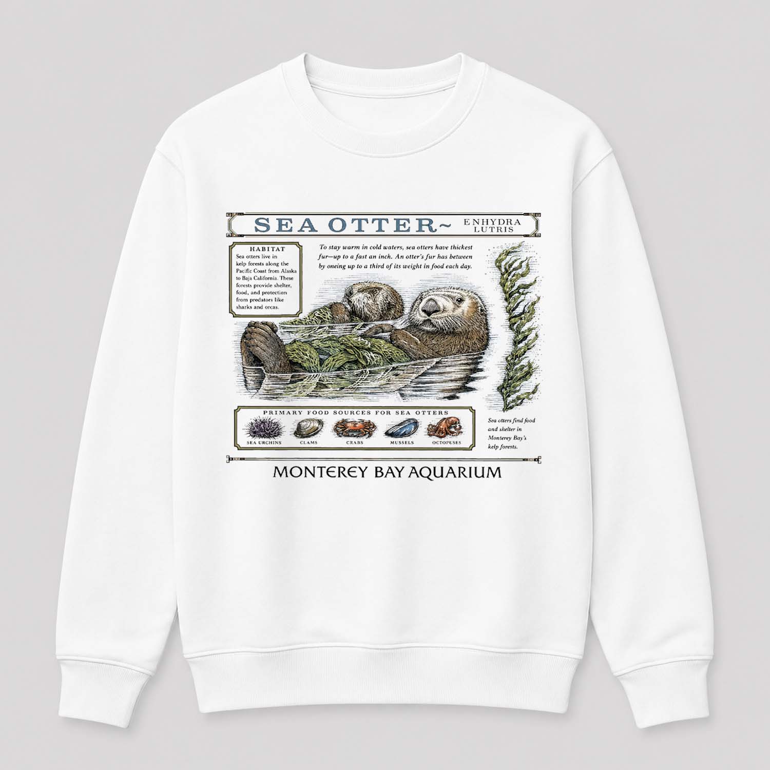 Taylor Swift Sea Otter Shirt