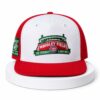 Chicago Cubs Cross Town Collection Foul Ball Hat